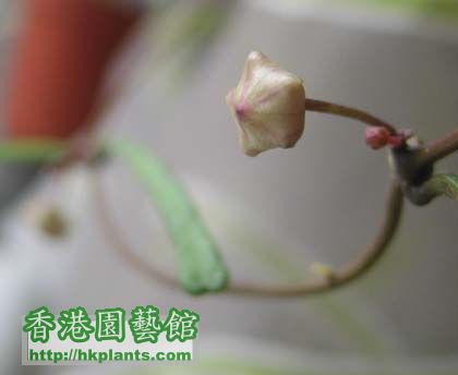 IMG_4552small420.jpg