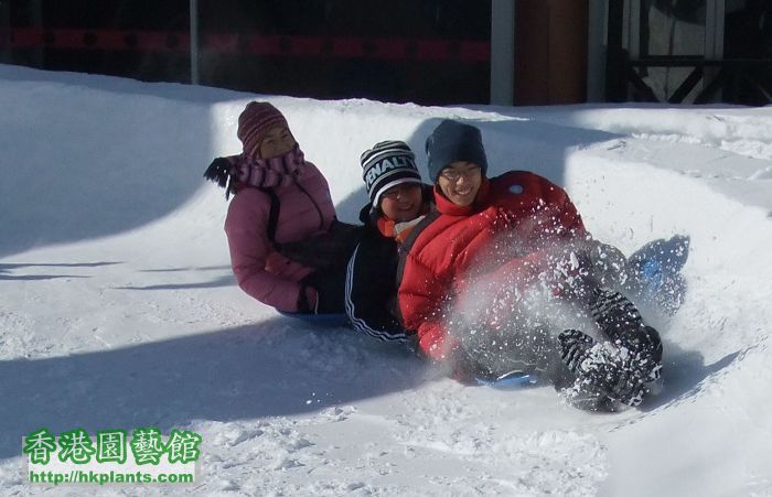 係雪地，點會少左雪上活動？