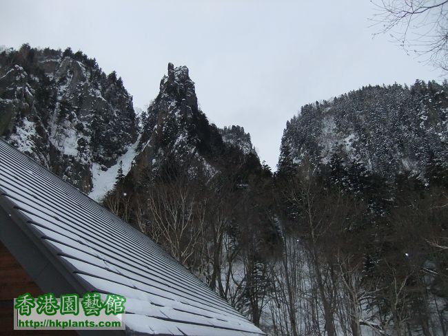 山巒起伏，好有層次