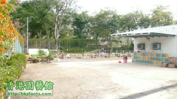 呢個就係海洋公園道社區園圃