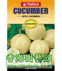 cucumber-apple-cucumber.jpg