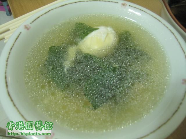 紅莧菜鹹蛋湯13-4-10.JPG