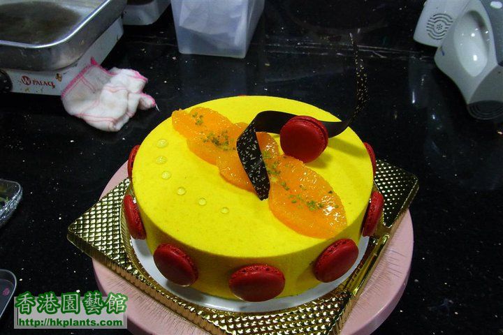 yuzu cake.jpg