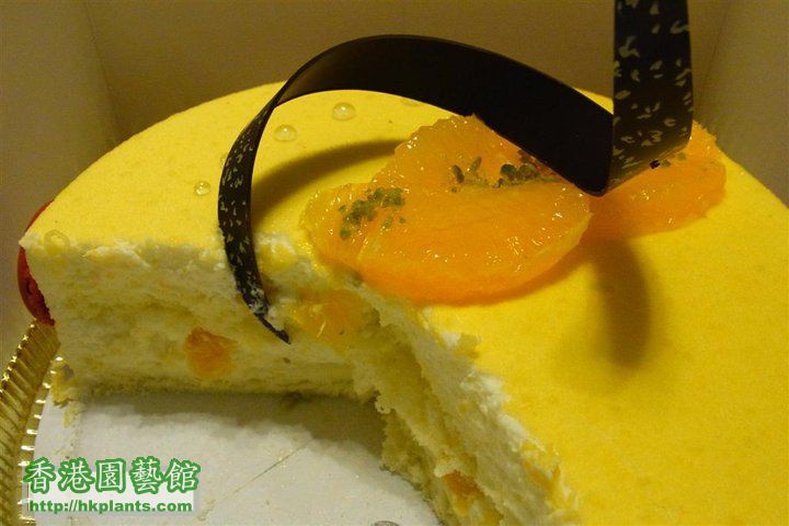 yuzu cake cut.jpg