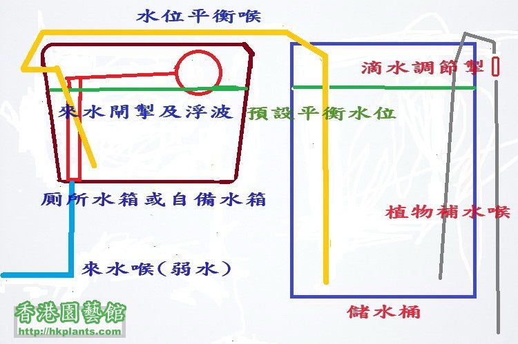 DIY植物補水器(1).jpg