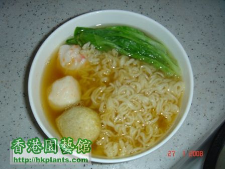 三丸丁麵+自己種生菜, yummy!
