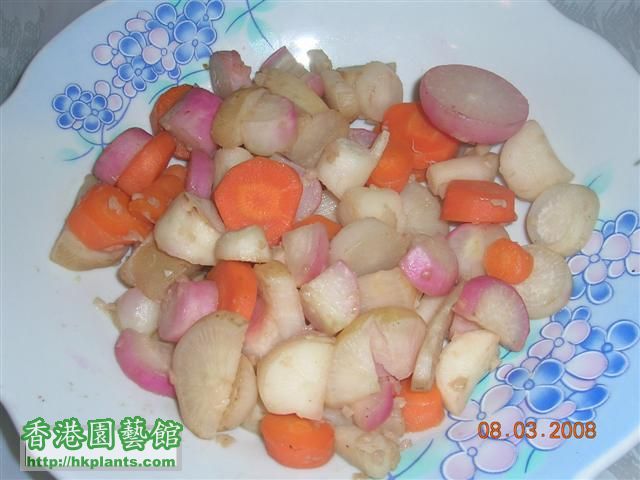 DSCN0124 煮雜錦蘿蔔.JPG