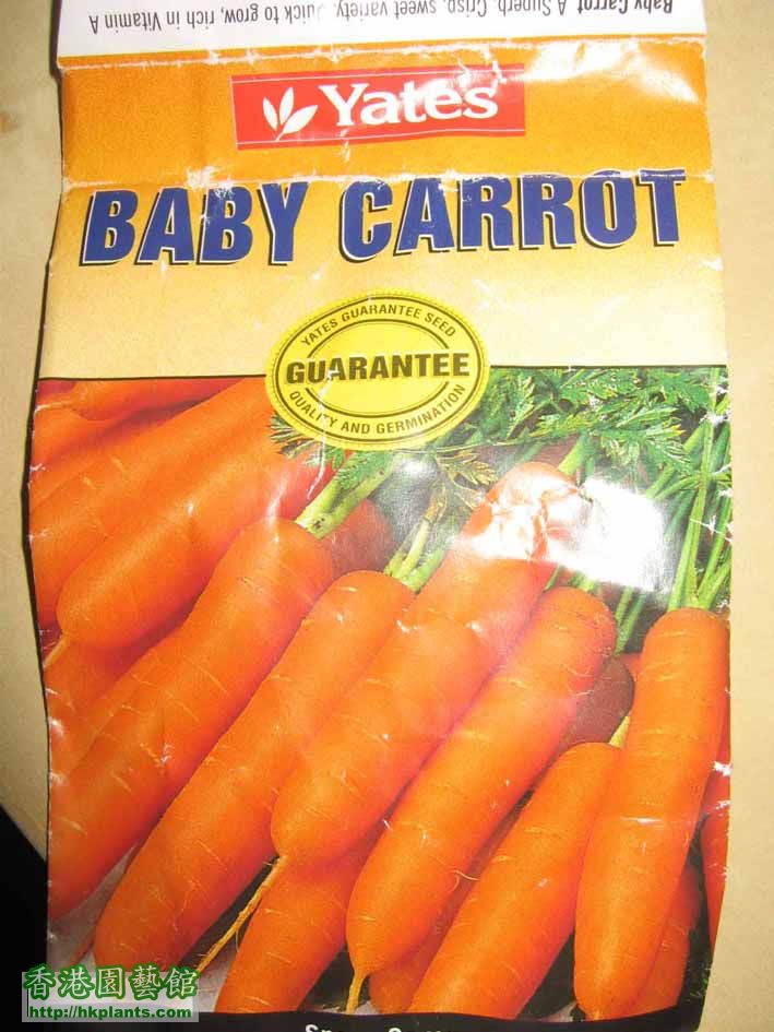 baby carrot.jpg