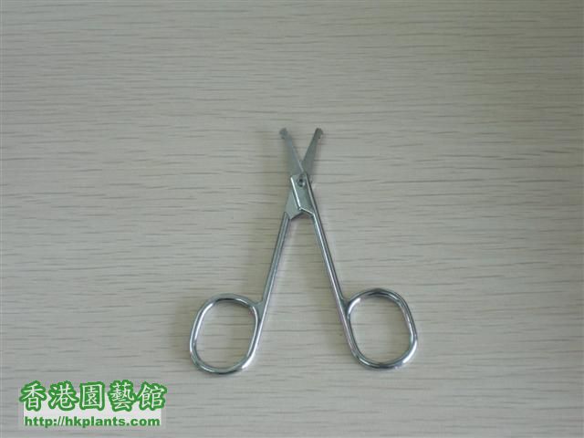 scissors.JPG