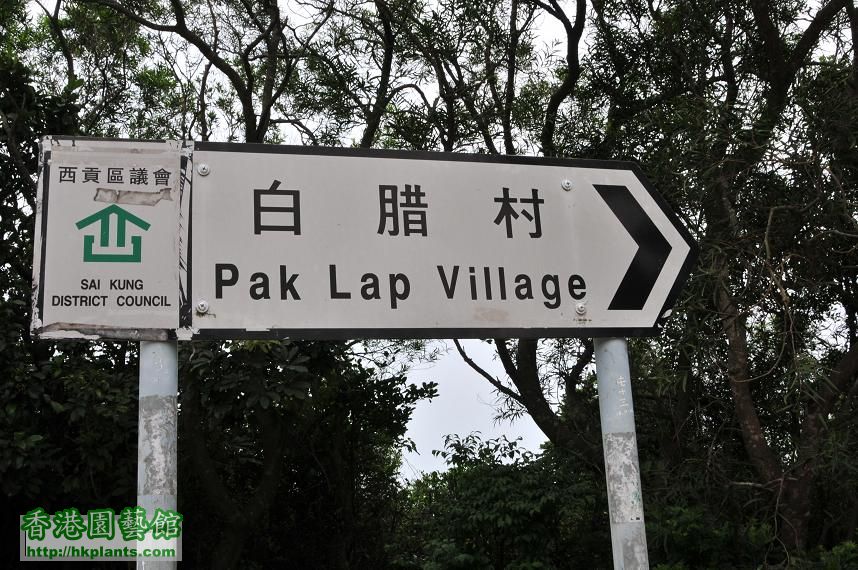 白腊村 PAK LAP village.jpg