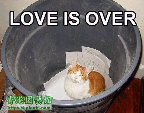 Love is over.jpg