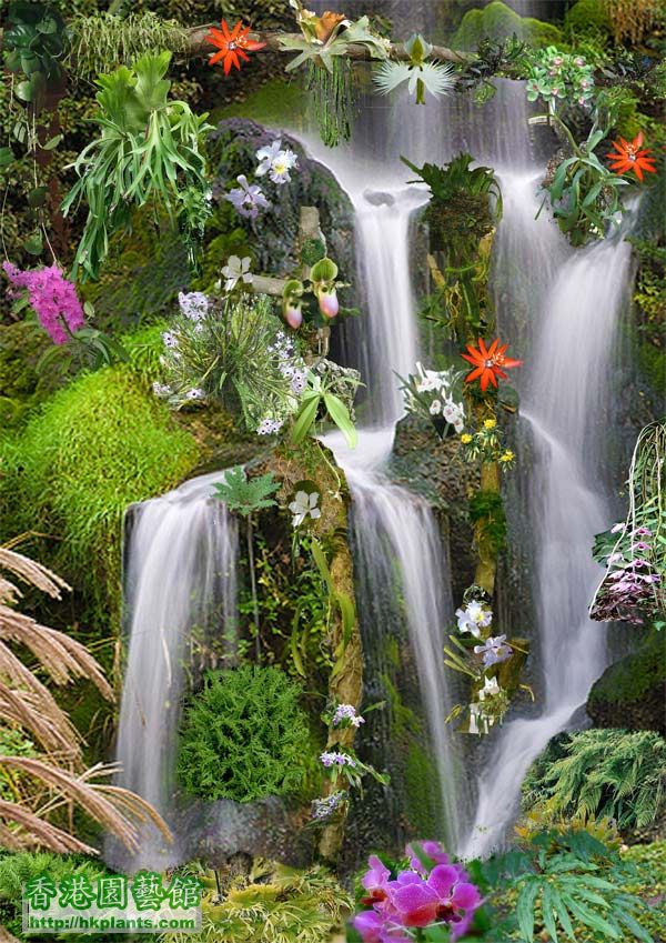 waterfall-plant-5s.jpg