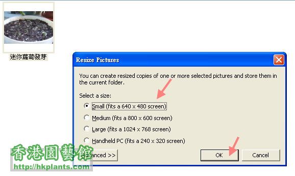 按下Resize Picture,你會看到圖中的視窗,這時就選擇small或者medium,按下ok
