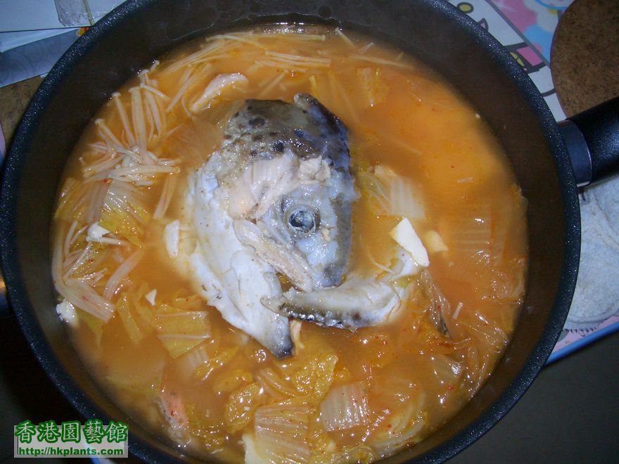 韓式三文魚頭湯.JPG