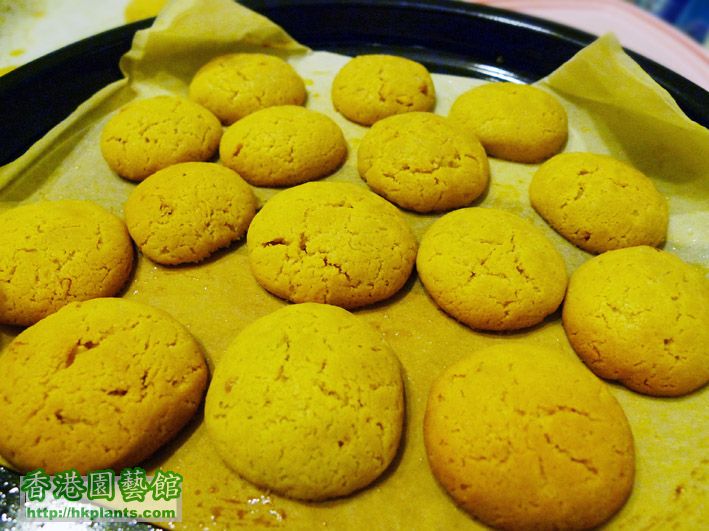 round cookies2.jpg