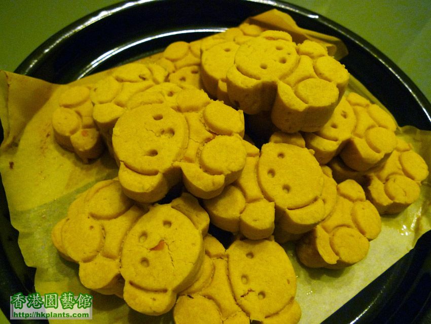 bear cookies.jpg