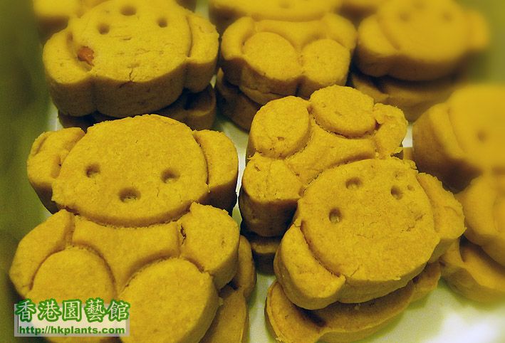 bear cookies1.jpg