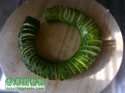 20100924318_cucumber1.jpg