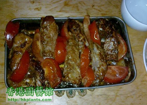 IMG_bake_ribs.jpg