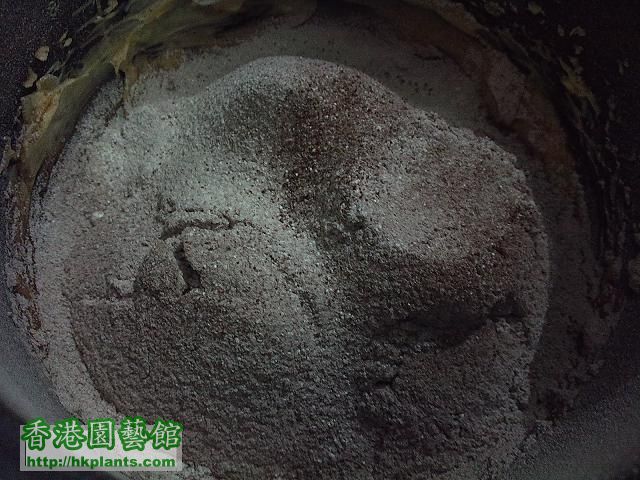 3.將低筋麵粉加可可粉過篩於(2)的材料中。