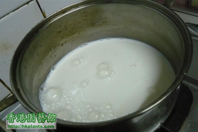 牛奶不要煮至起泡