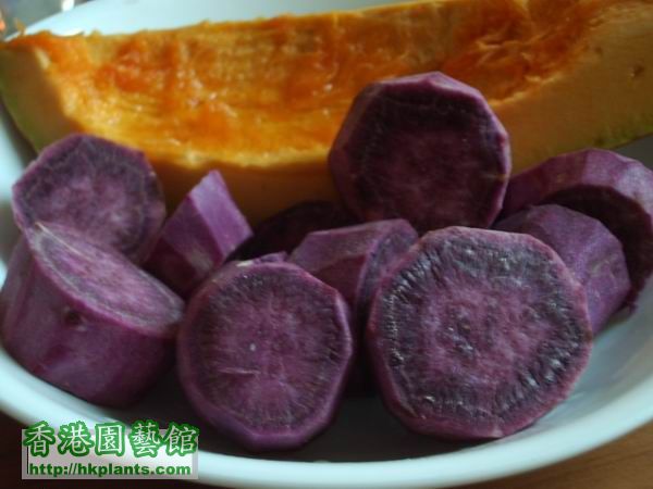 南瓜紫甘薯
