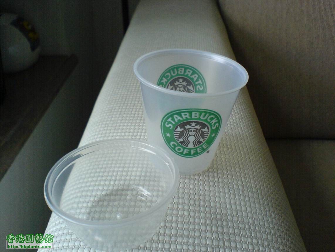 Starbuck試飲杯 vs 2 oz 試飲杯