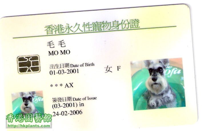 momo-ID Card.jpg
