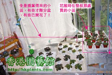 我的種植區.jpg